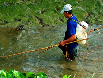 Đánh bắt thủy sản bằng chất nổ, xung điện - hệ lụy cho hôm nay và mai sau (15/01/2016)